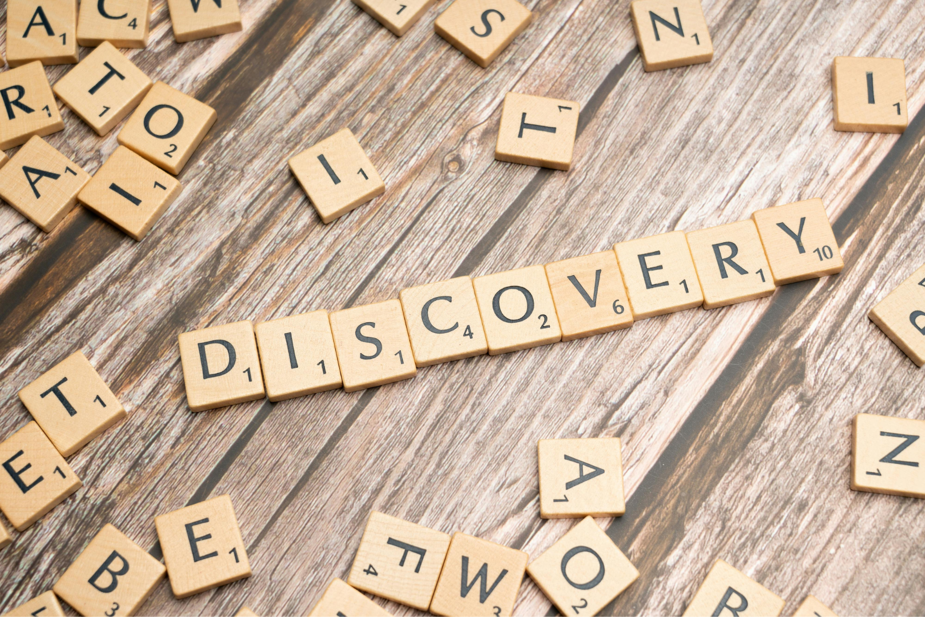 FEBRUARY 2026 Newsletter - SELF-DISCOVERY: Reflecting on Our Journeys
