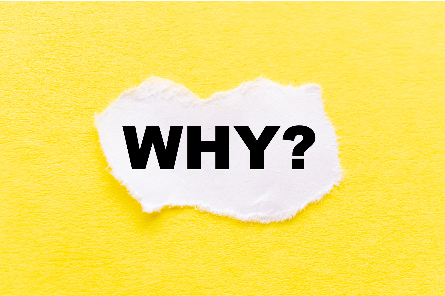 The Bridge Between Intention and Action