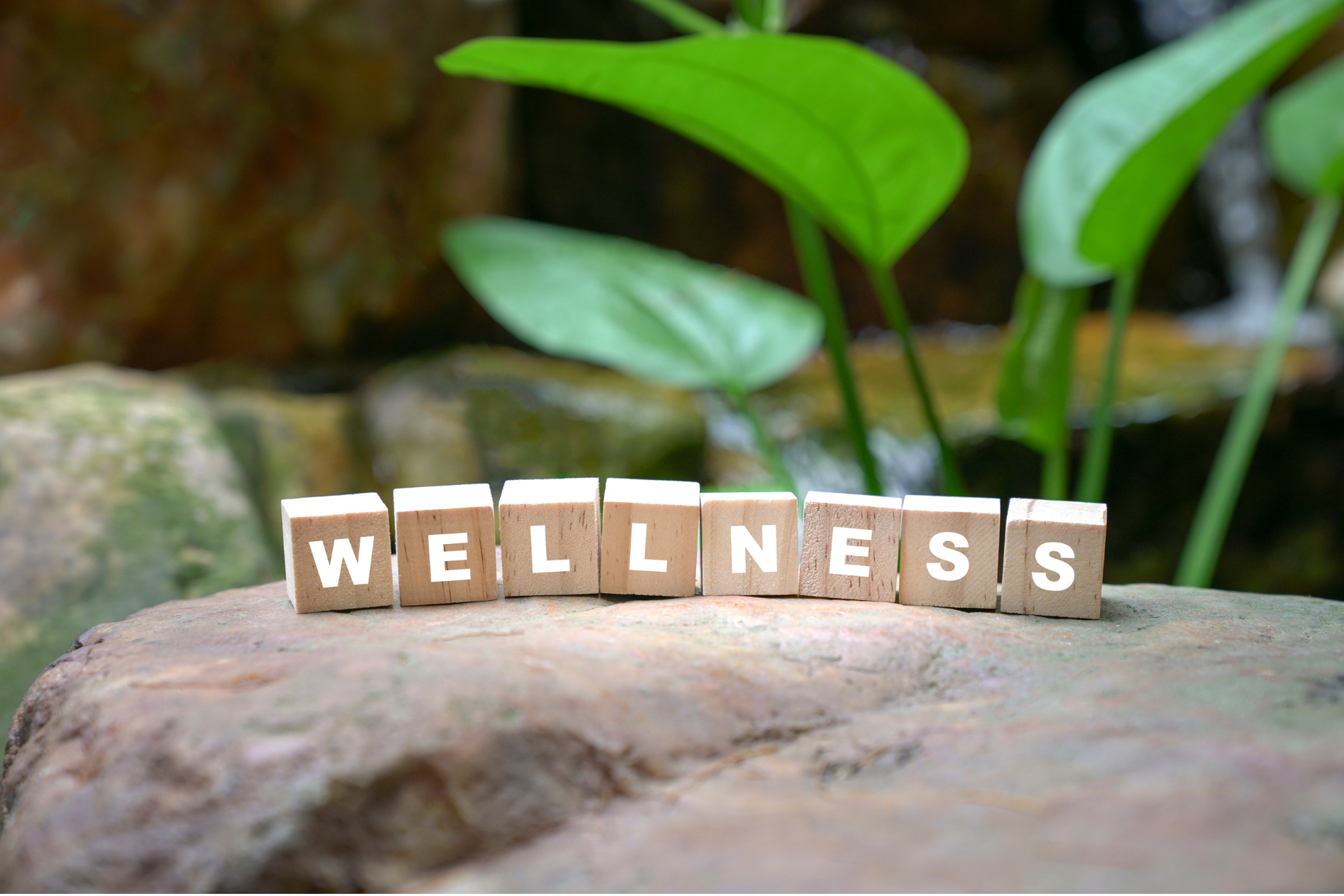 JULY 2026 Newsletter - Wellness: Growing Hope Together