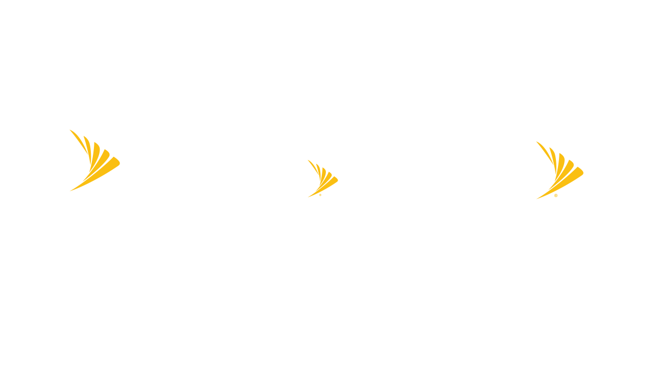 sprint_04_sprint.png
