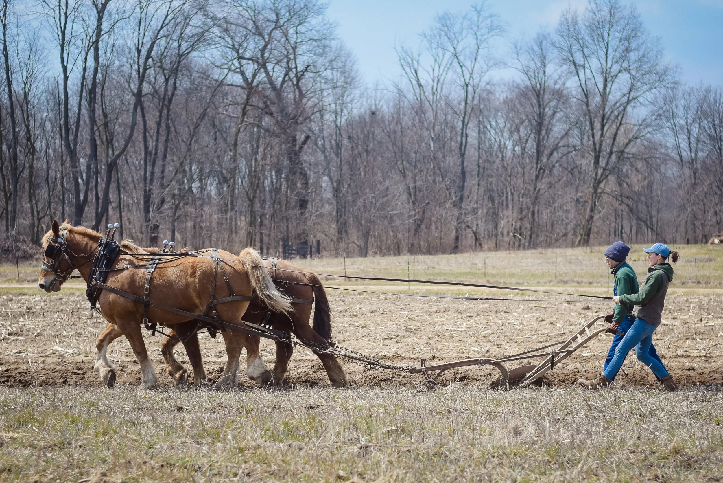 Tillers International