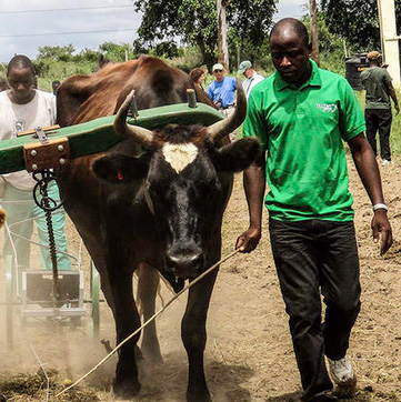 Michigan Radio: Nonprofit redesigns Amish farm equipment for African communities 