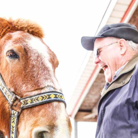 Senior Times: The Draft Horse Farmer (PDF)