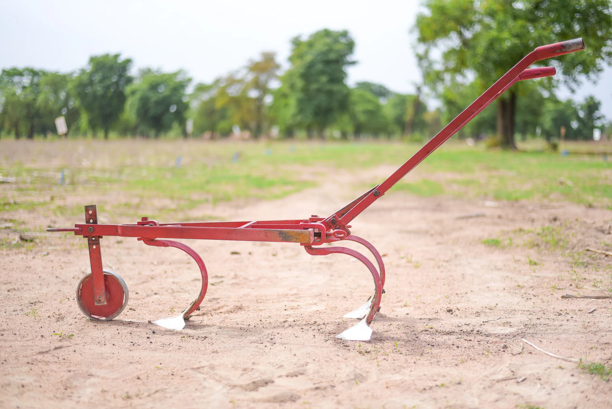 International Gallery — Tillers International