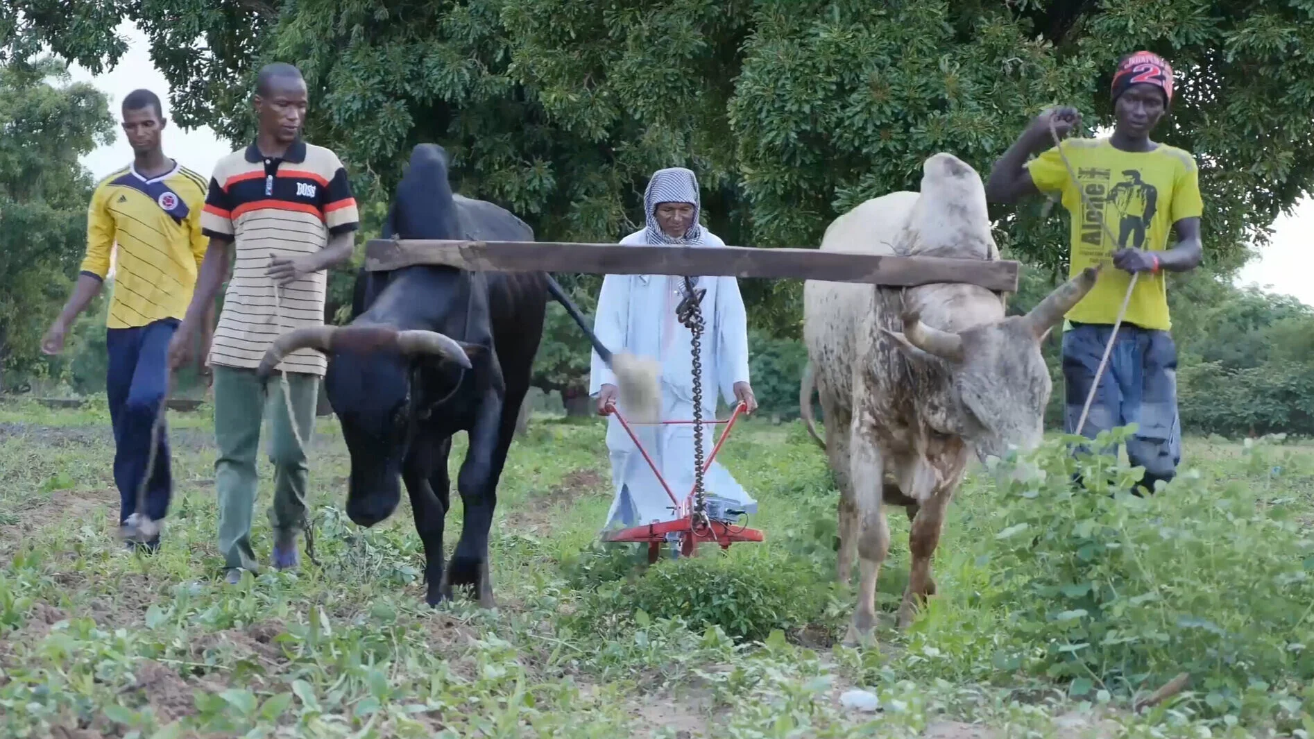 International Gallery — Tillers International