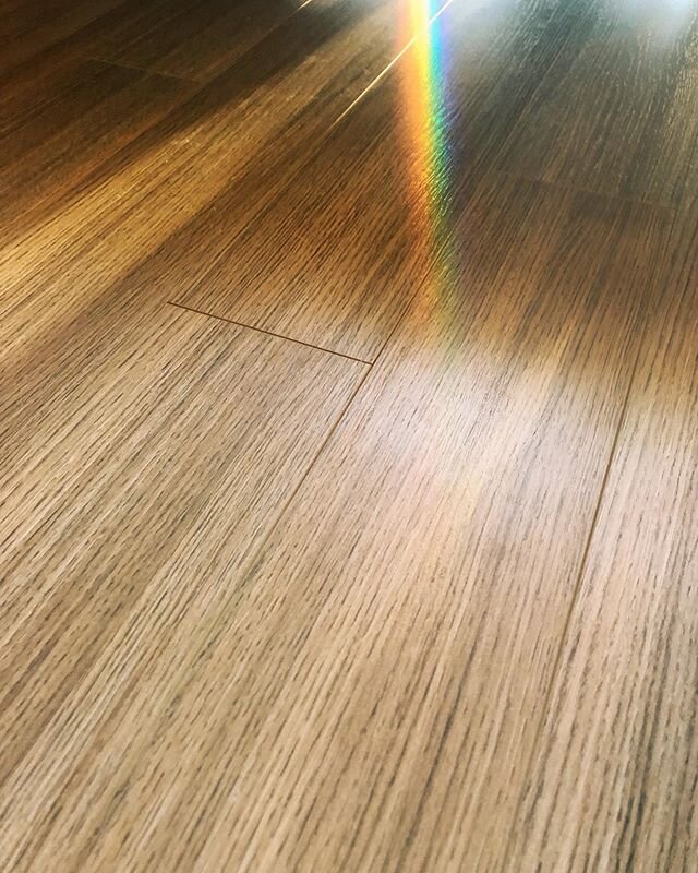 Whilst this morning sunlight shows off all the dog hair and dust all over my floors (never goes away no matter how many times I vacuum) it does make beautiful rainbows #beautyeverywhere #rainbow #light #lightpatterns #underthecouch #justgottalookfori