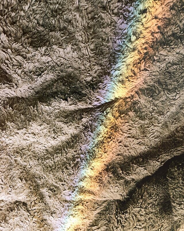 More rainbows #beautyeverywhere #rainbows #light #allinthedetails #dogbed #lookaround