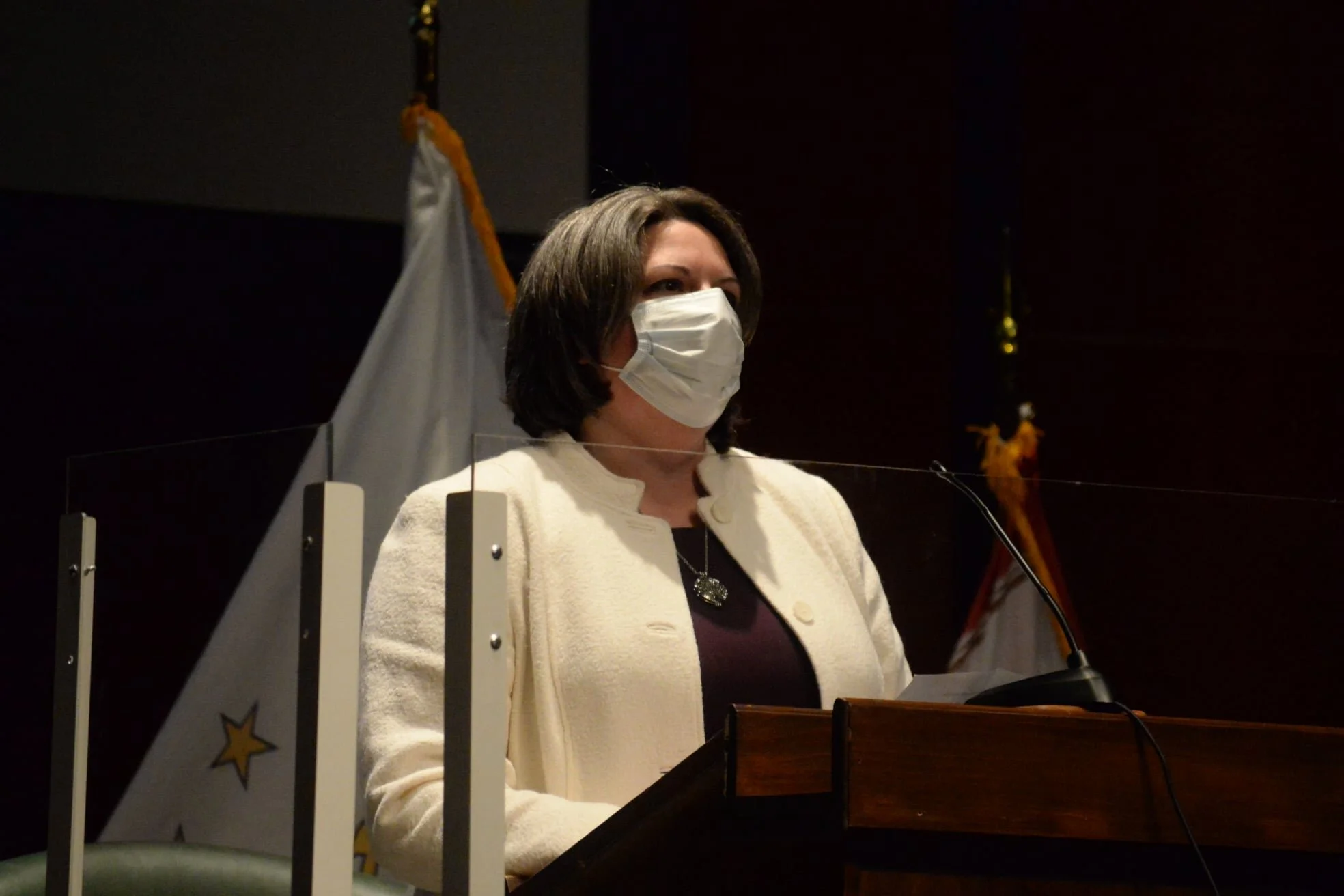 Euer named chair of legislative environment committee