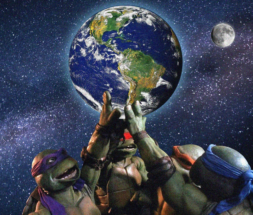 Turtles.jpg