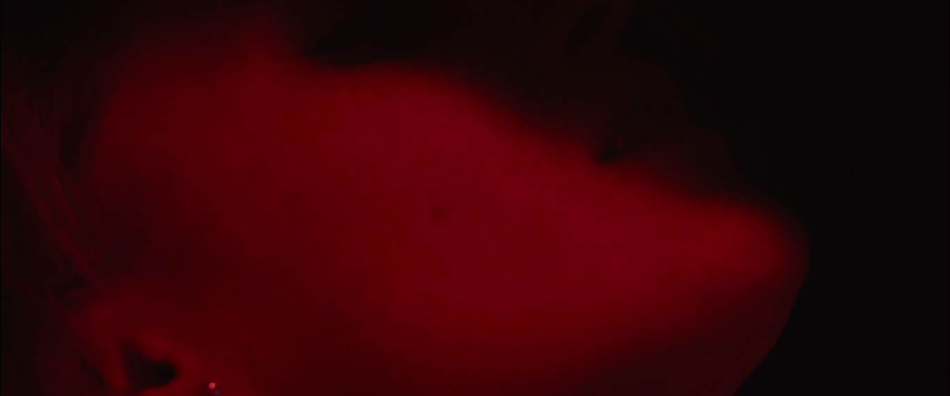 Schermata 2019-01-08 alle 13.50.21.png