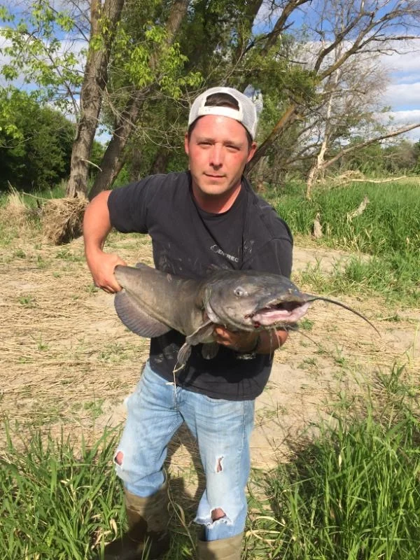 Catfish Caught On Site