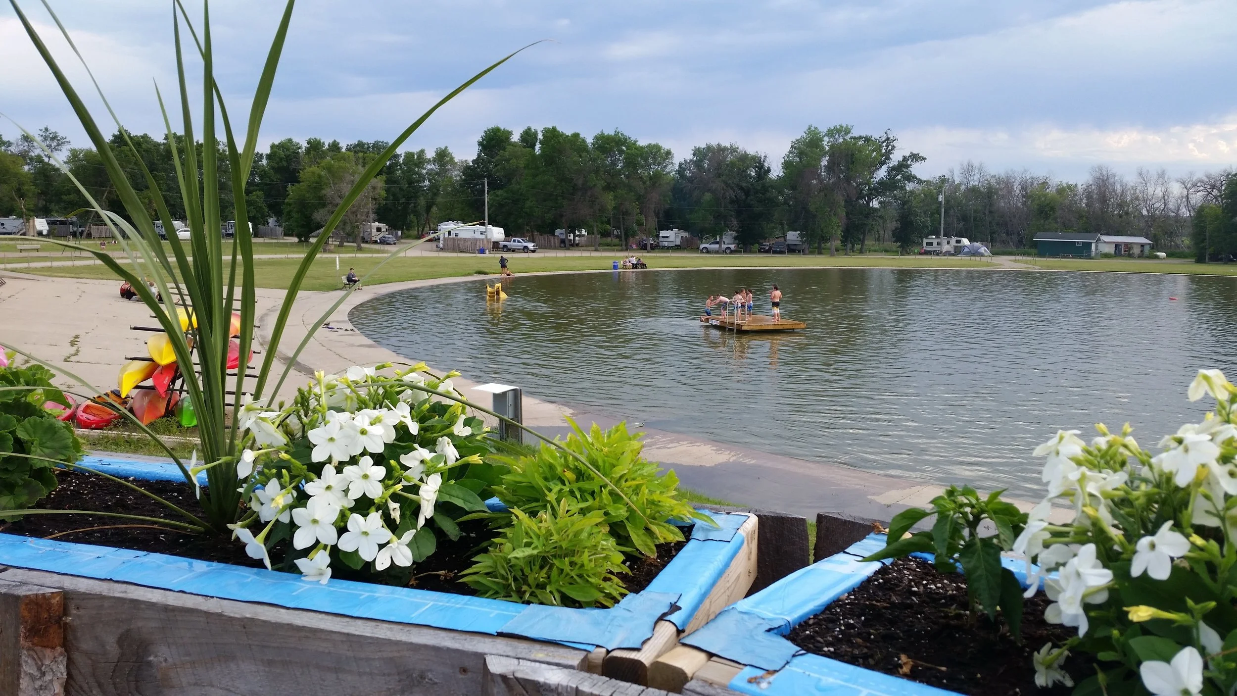 Office Wading Pool View