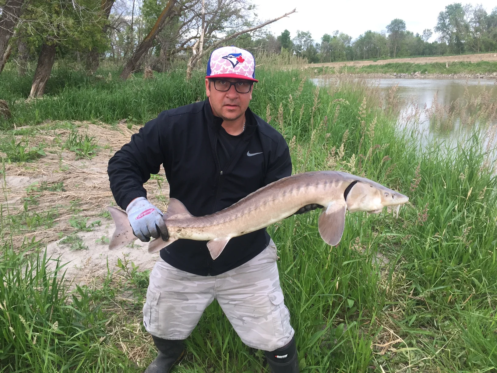 Sturgeon Caught On Site