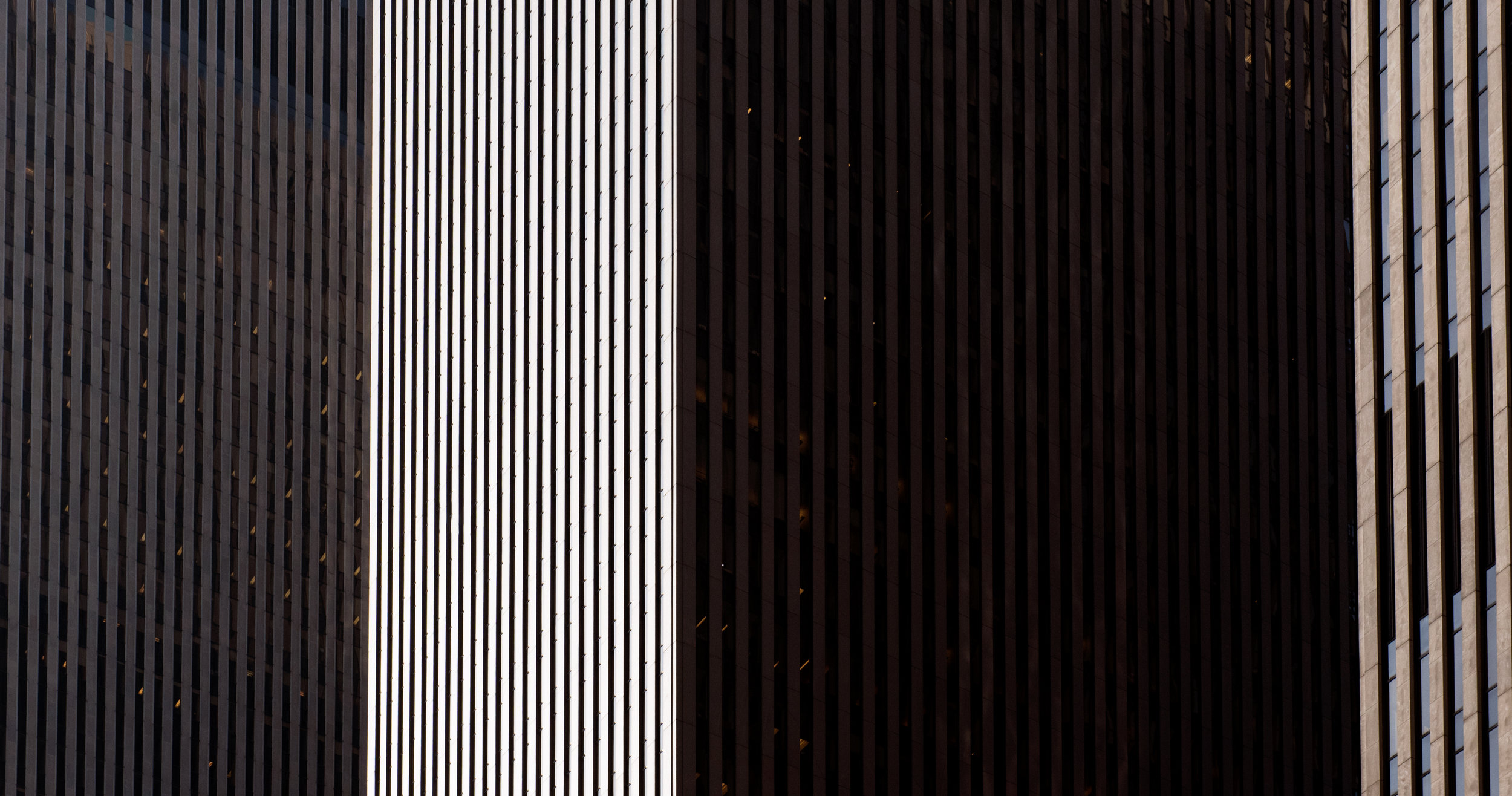 BD7_2101.jpg