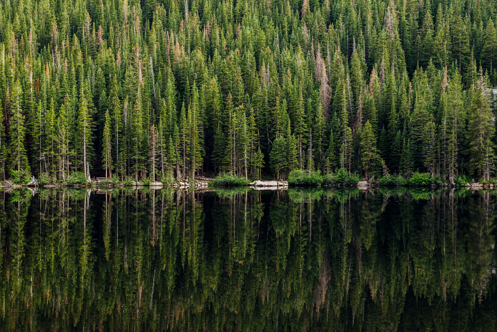 Bear Lake, Rocky Mountain Nat'l Park