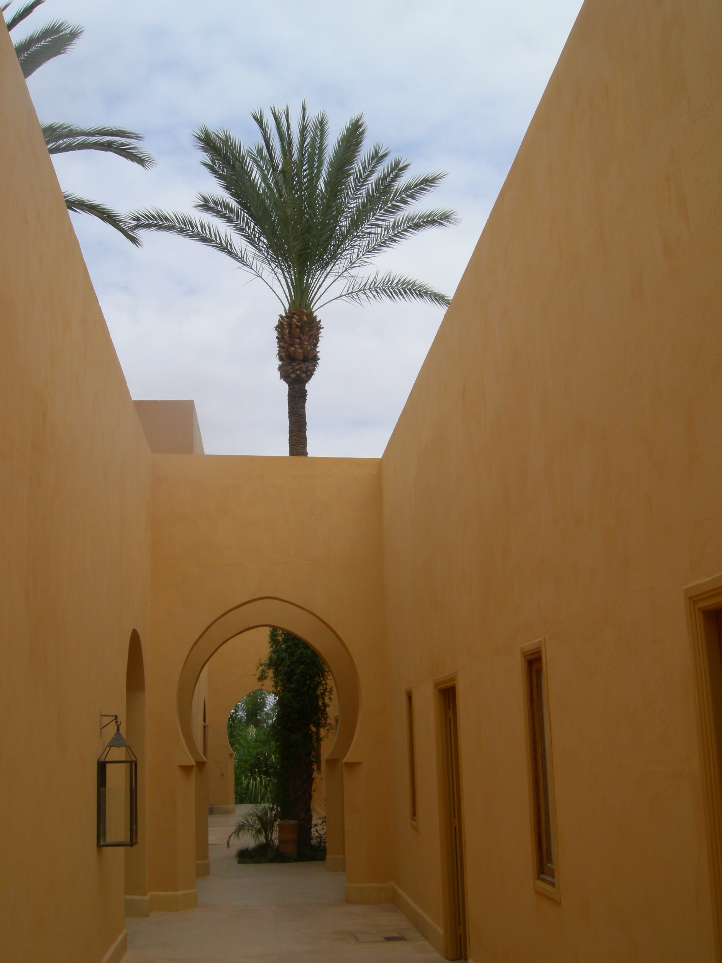 DSCN5502.jpg