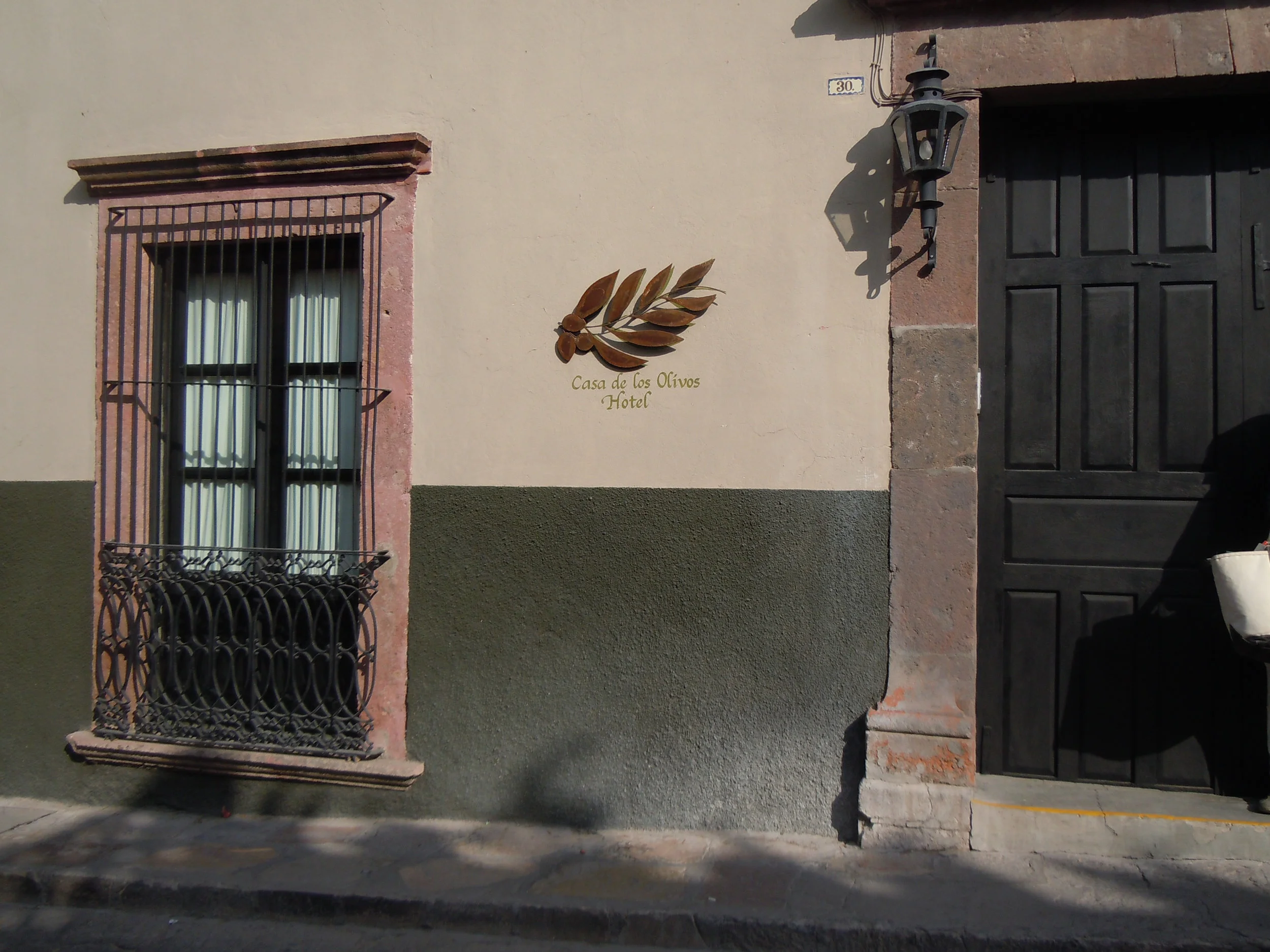 DSCN8711.jpg