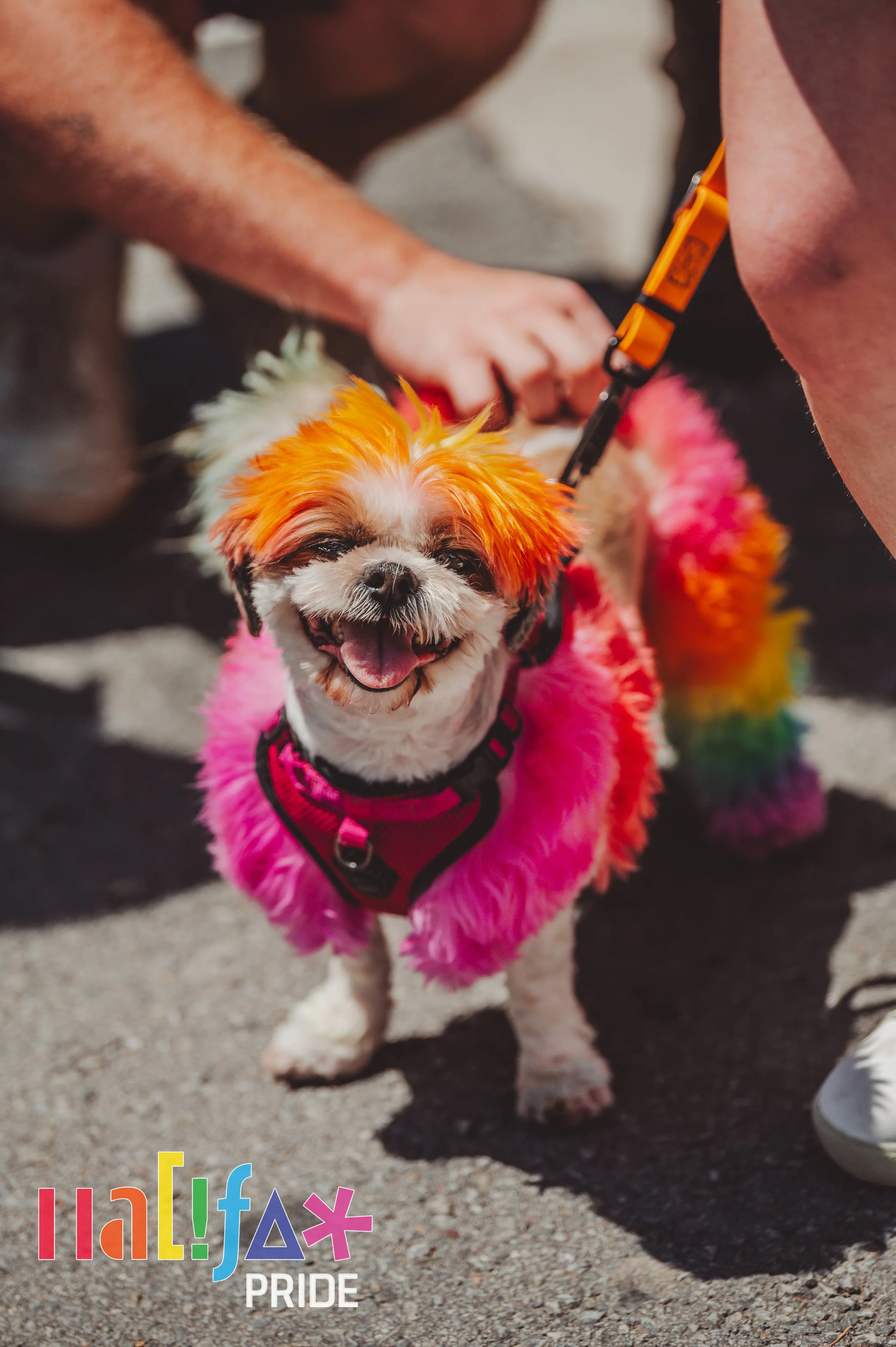 MJP-HalifaxPride2025-Parade-0030.jpg
