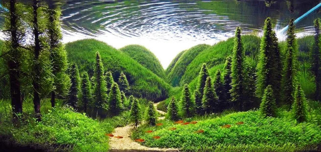 Een aquarium in de ‘Nature style’. Deze stijl probeert de natuur in miniatuur na te bootsen. Zowel landschappen met bergen en bomen als stukken jungle worden onder deze stijl verstaan.