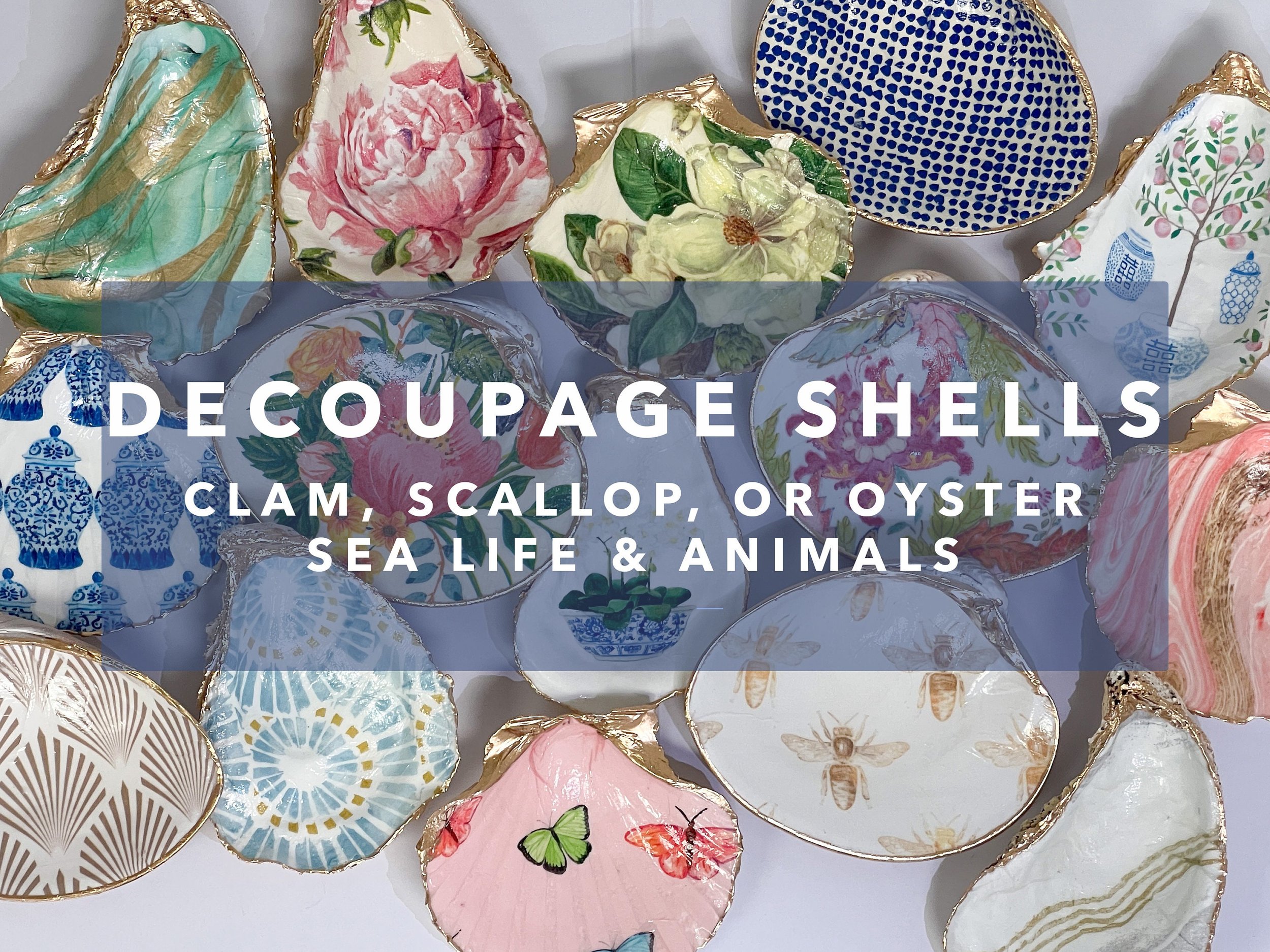Decoupage Shells- Clam, Scallop, or Oyster- Sea life & Animals