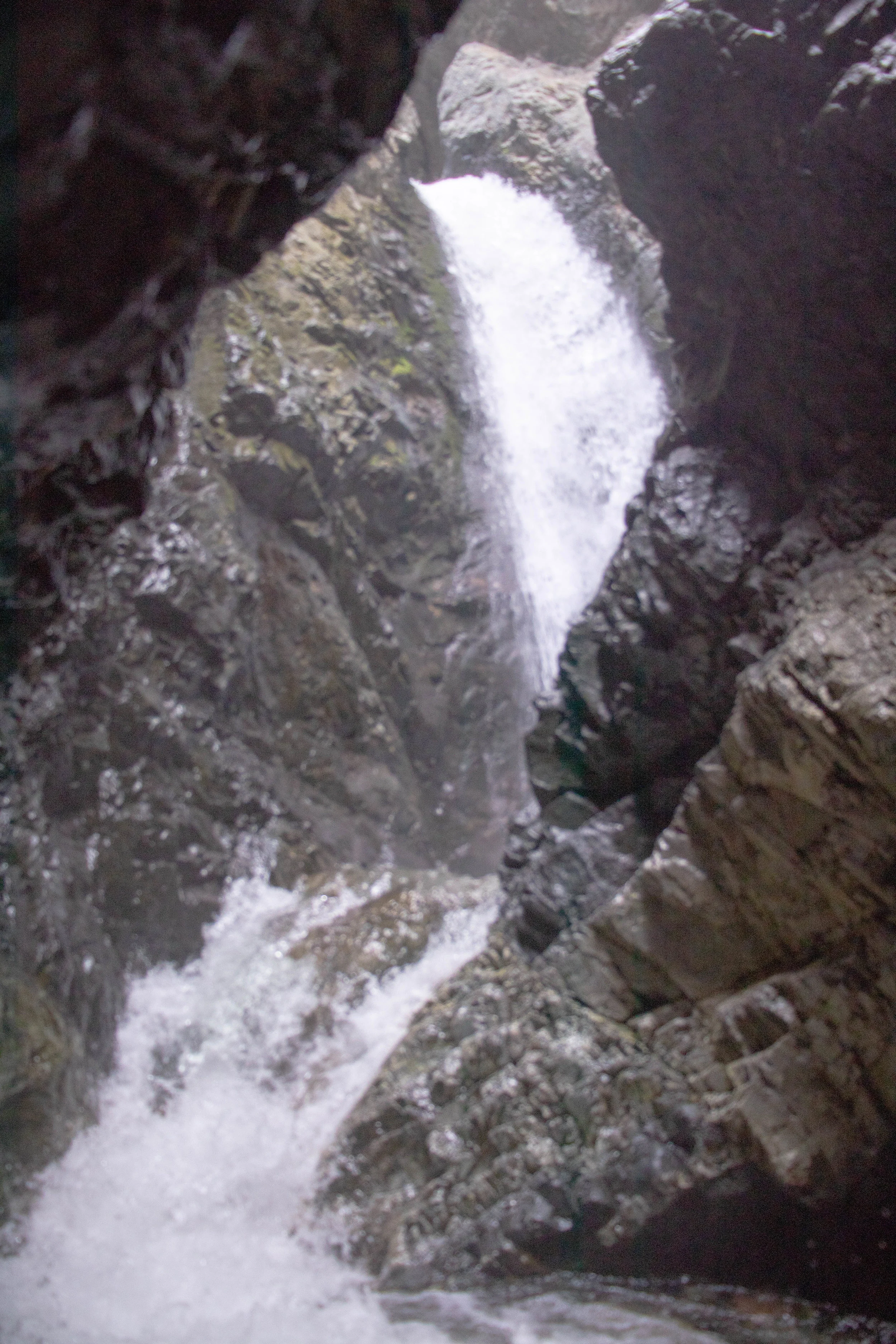 carnoalizapatafalls3.jpg