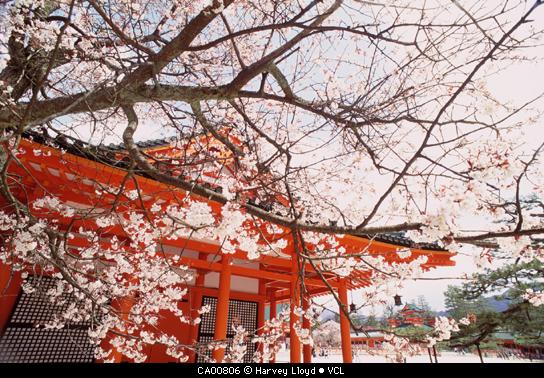 Kyoto - Japan