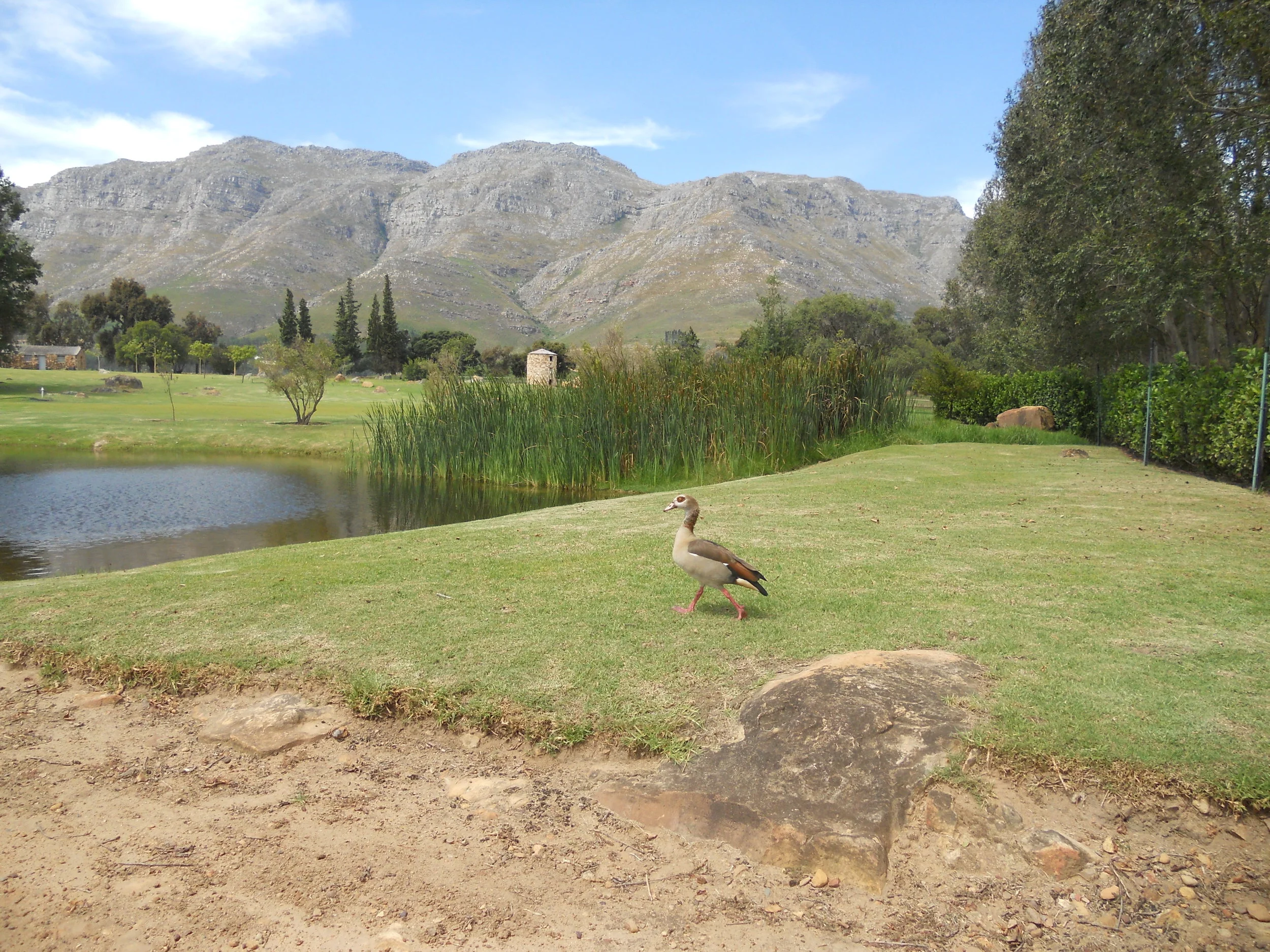 O crescimento do Enoturismo fora dos circuitos tradicionais