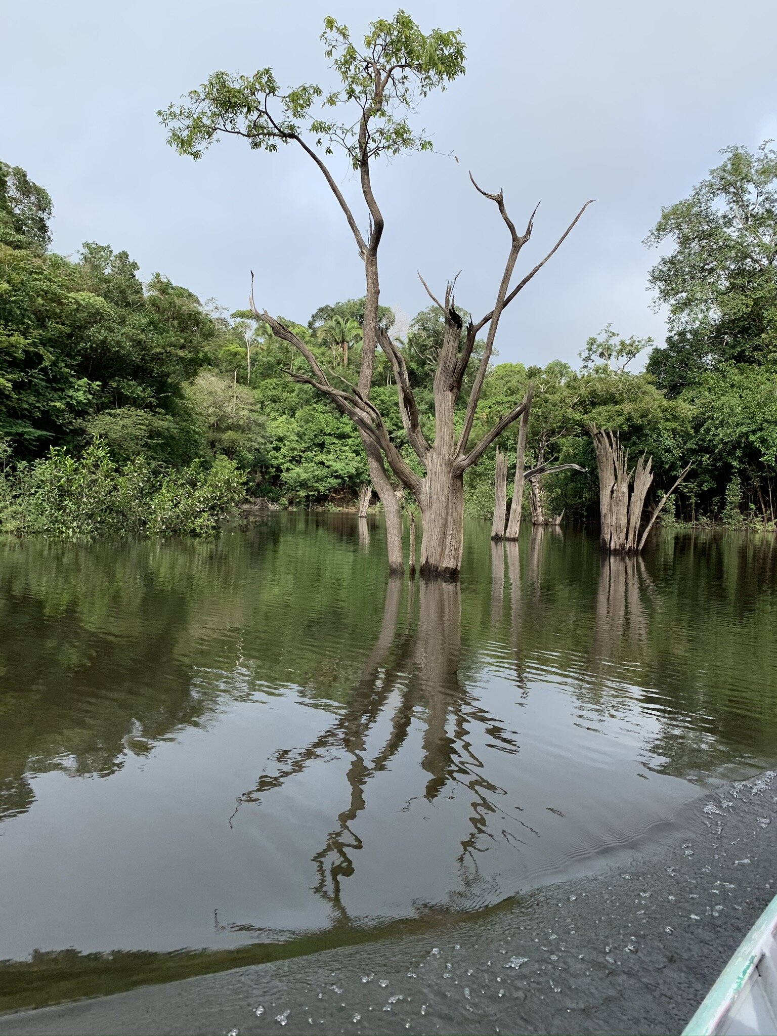 Aventura na Selva Amazônica