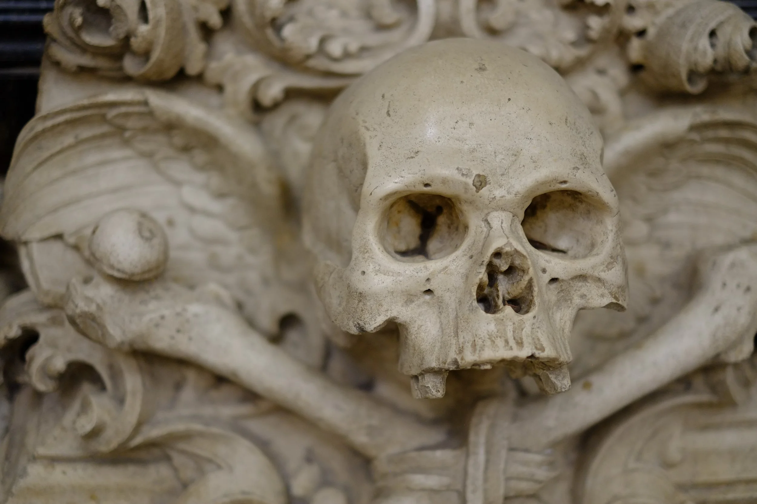 Fear of Death Prompts Leaders to Look Towards the Future