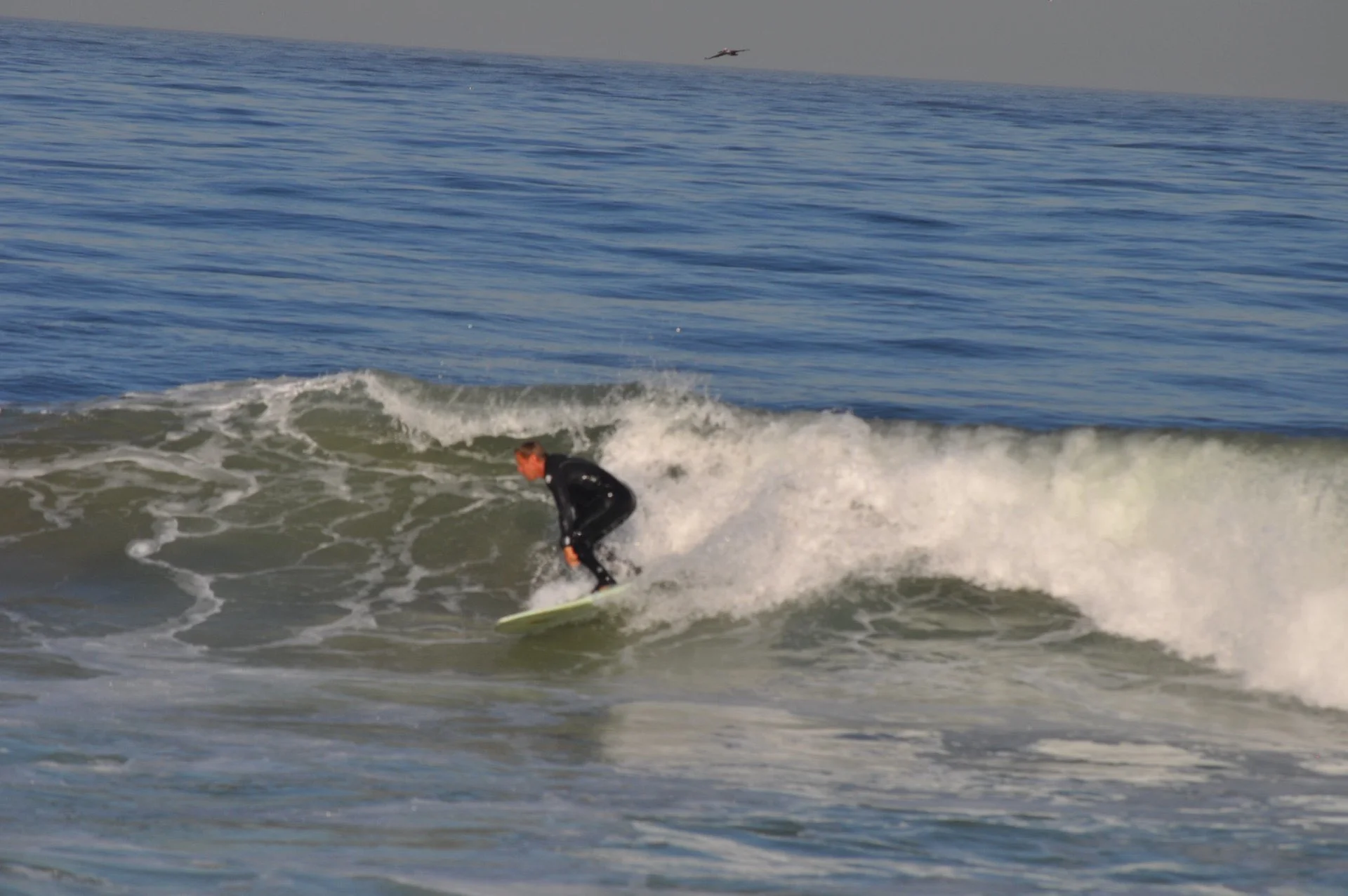 4-15-2011 114.jpg