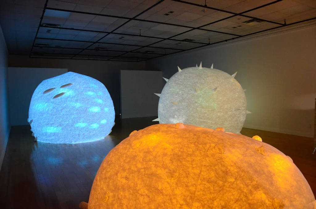 14 Karina Bergmans Airborne Allergerns Installation view.JPG