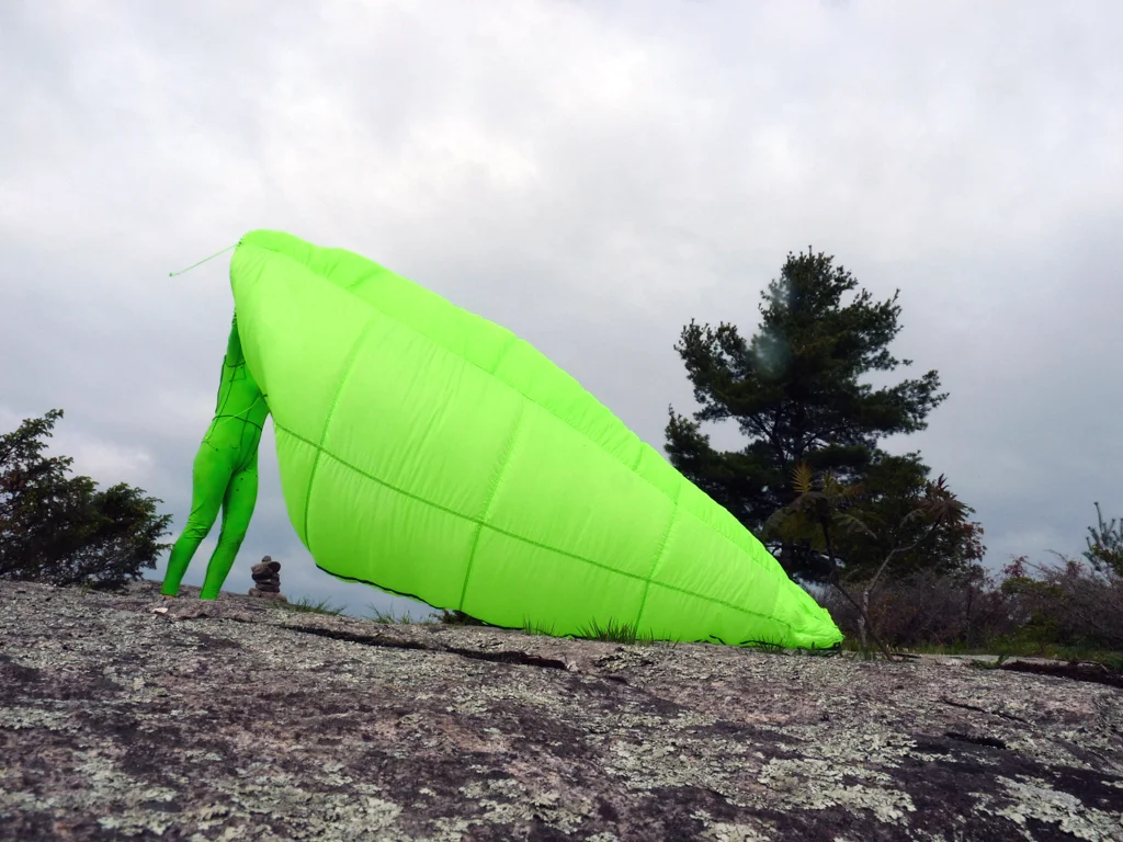 06KB2015LymphNymphandparachuteatCrotchLake.jpg
