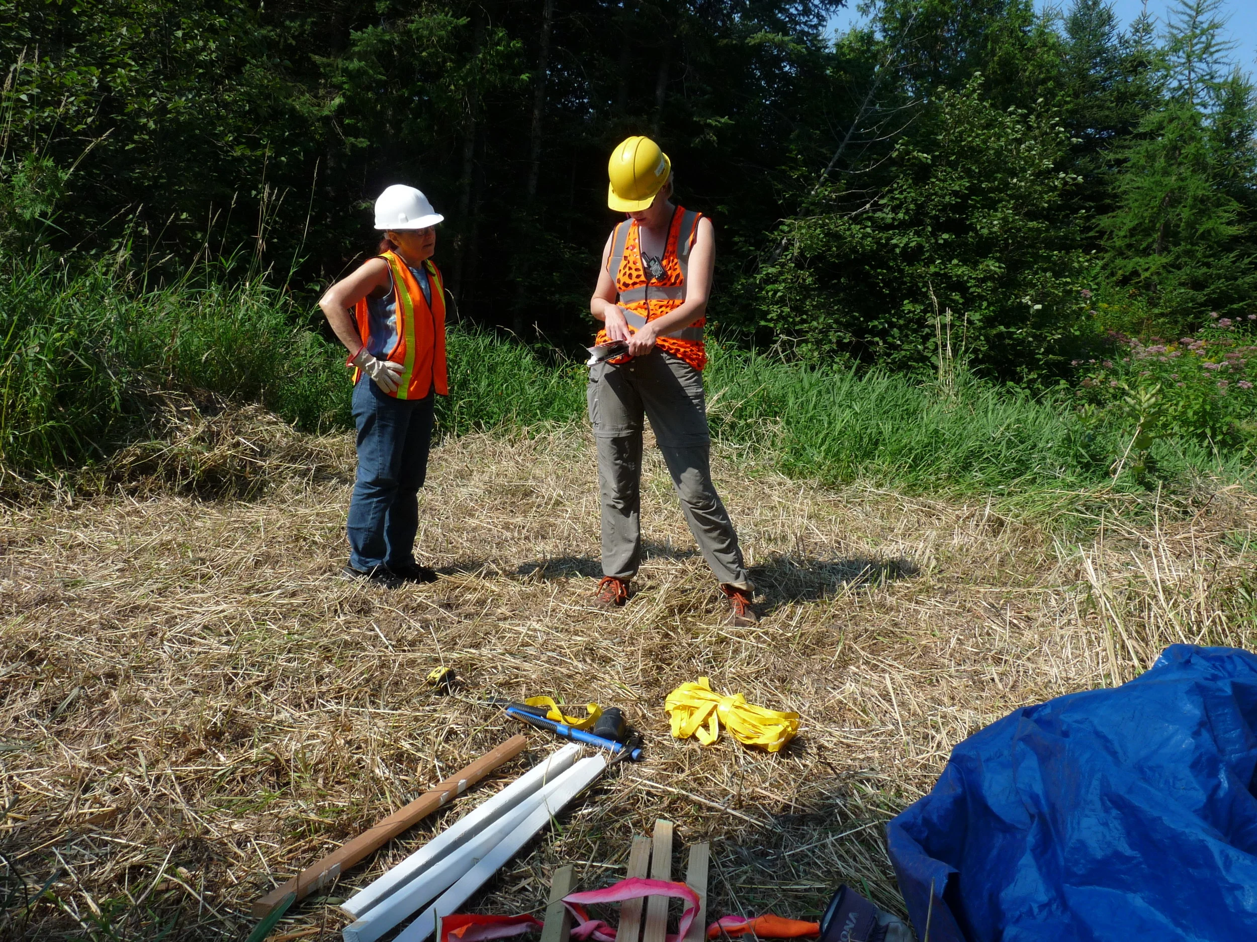  August 16-31, 2013  Hosted by the Moon Rain Textile Centre in Val-des-Monts, Quebec, the   International Textile Triennial   brought together 24 textile artists from around to the world to create an in-situ installation on the land. All artists were