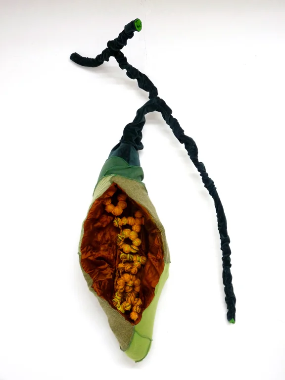 GallbaldderStones