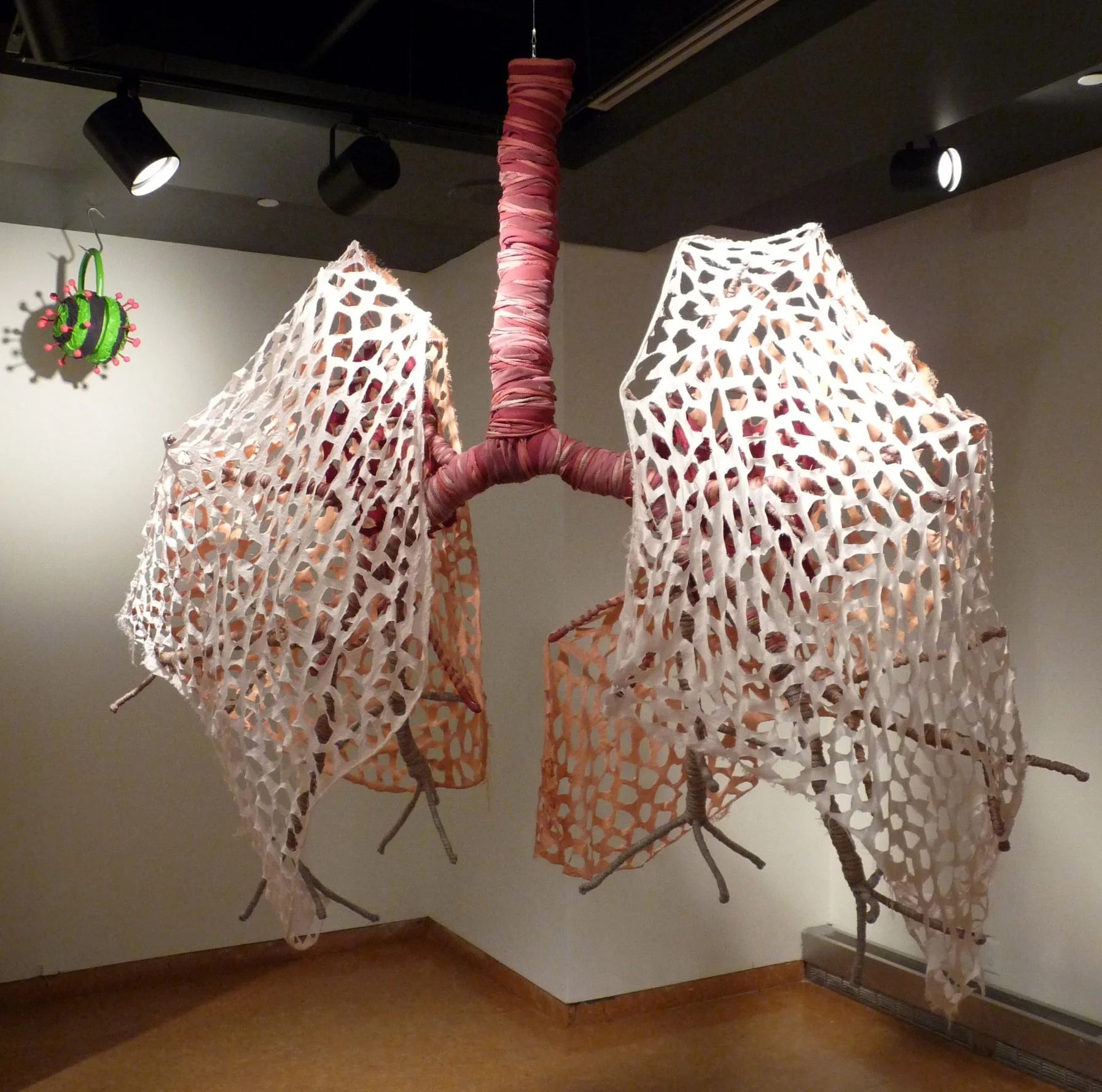 Lungs, with H1N1 virus handbag in background