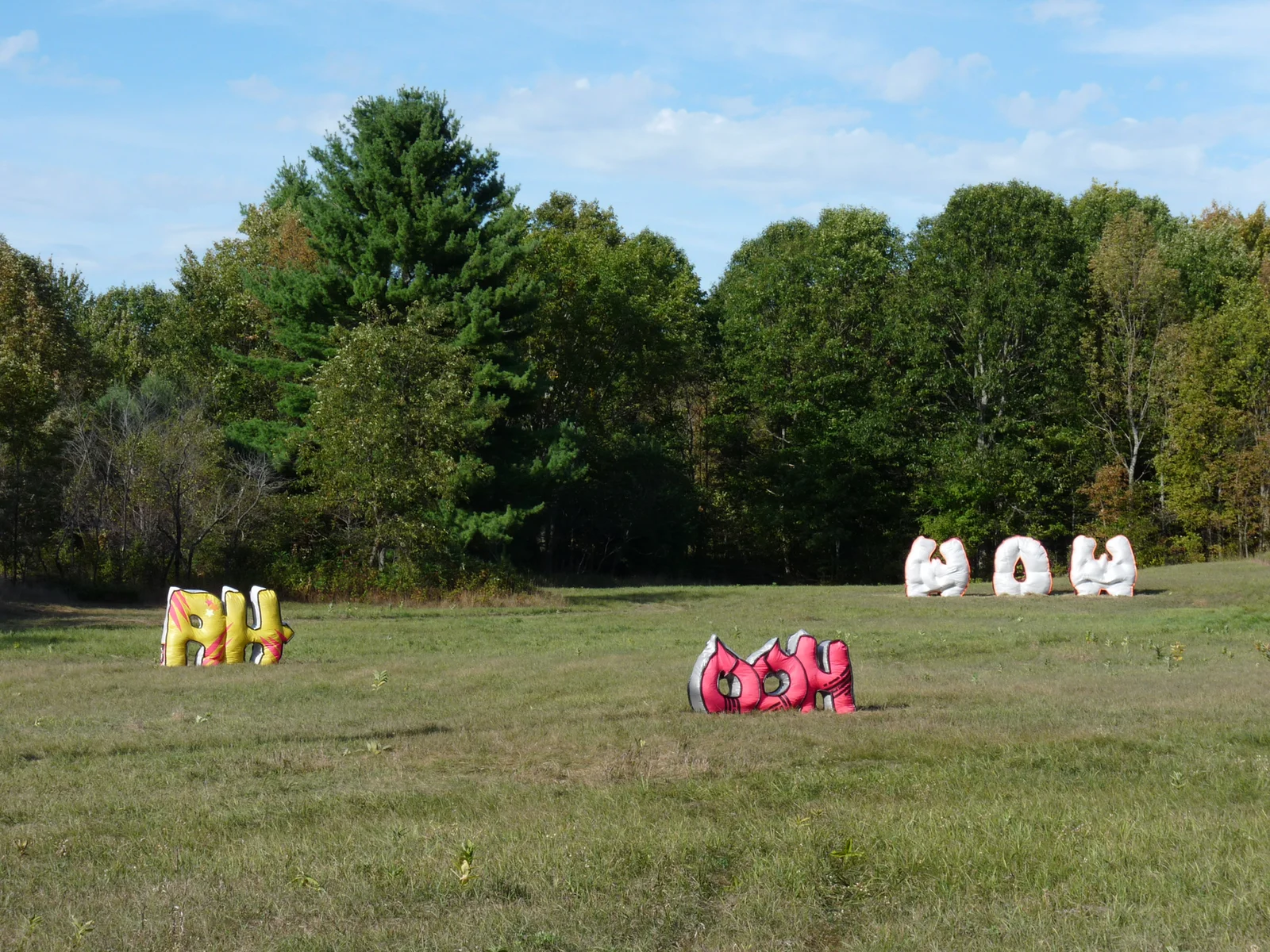 OOH, AH WOW in the field.JPG