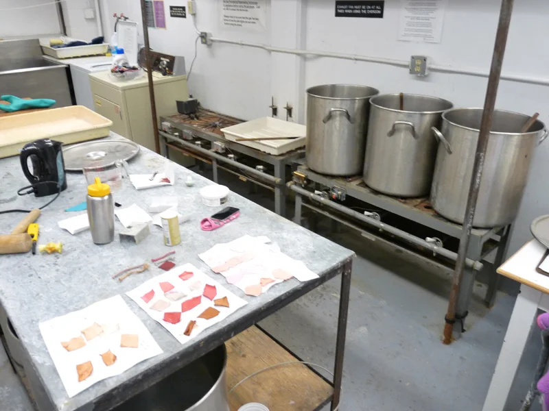 14 Silk Dyeing session.jpg
