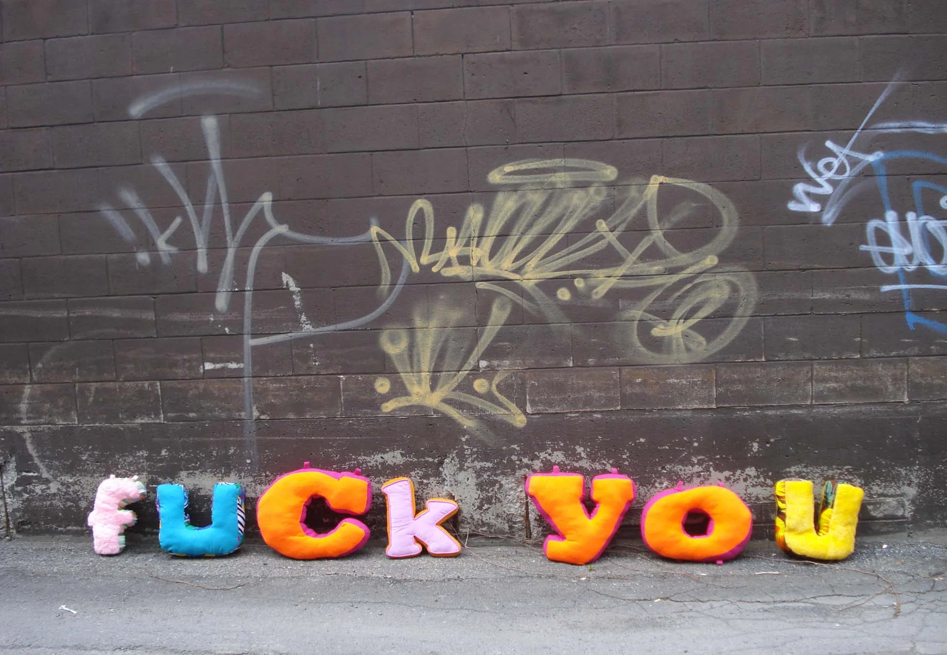 FUCK YOU pillows.JPG