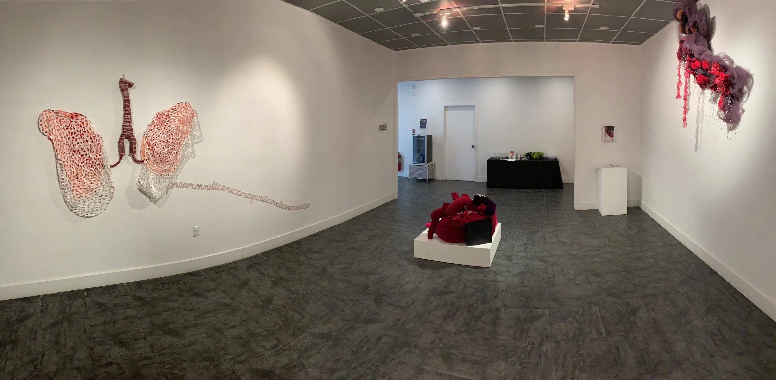 Ligaments and Ligatures, installation view, Estevan Art Gallery and Museum.
