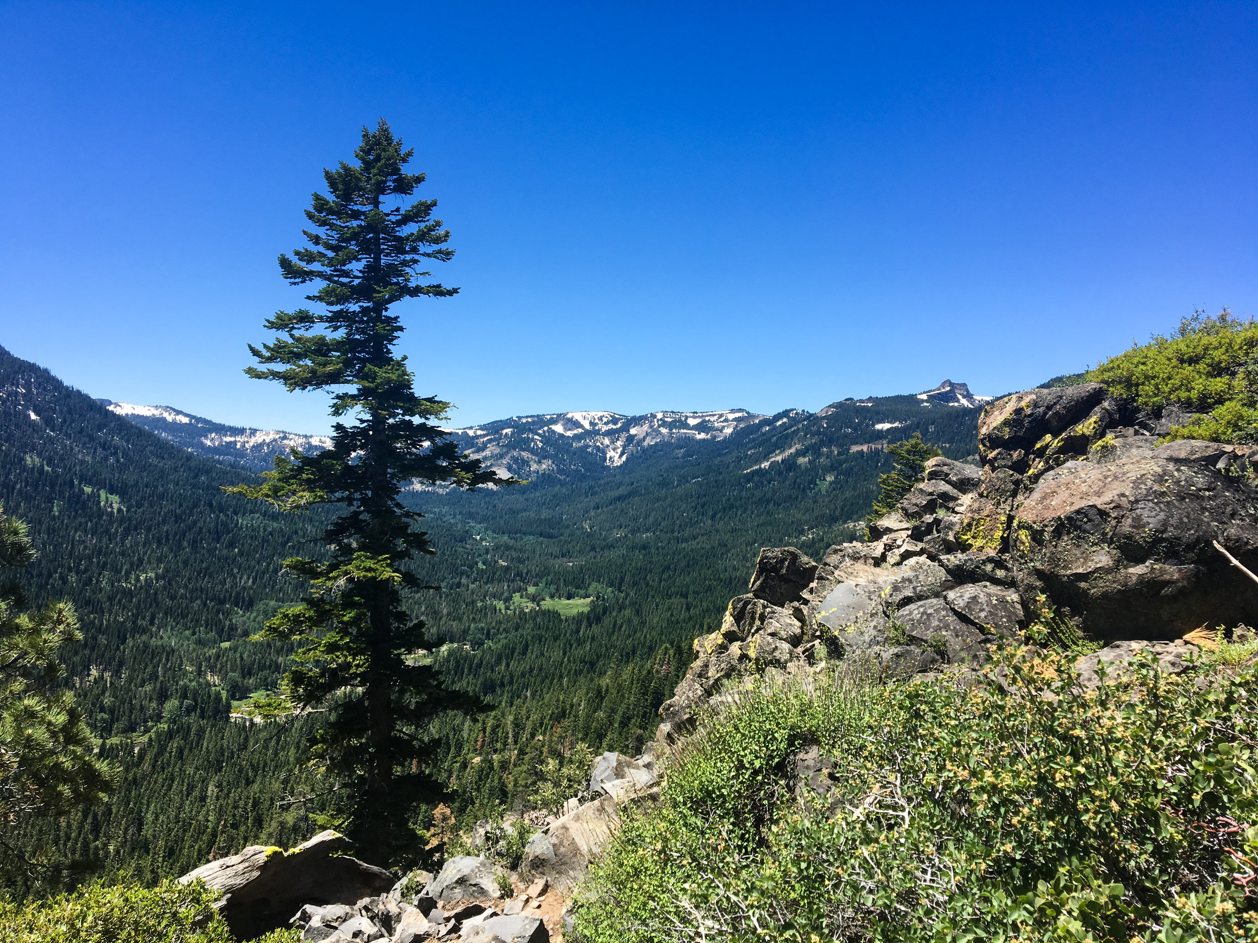 view of Blackwood Canyon