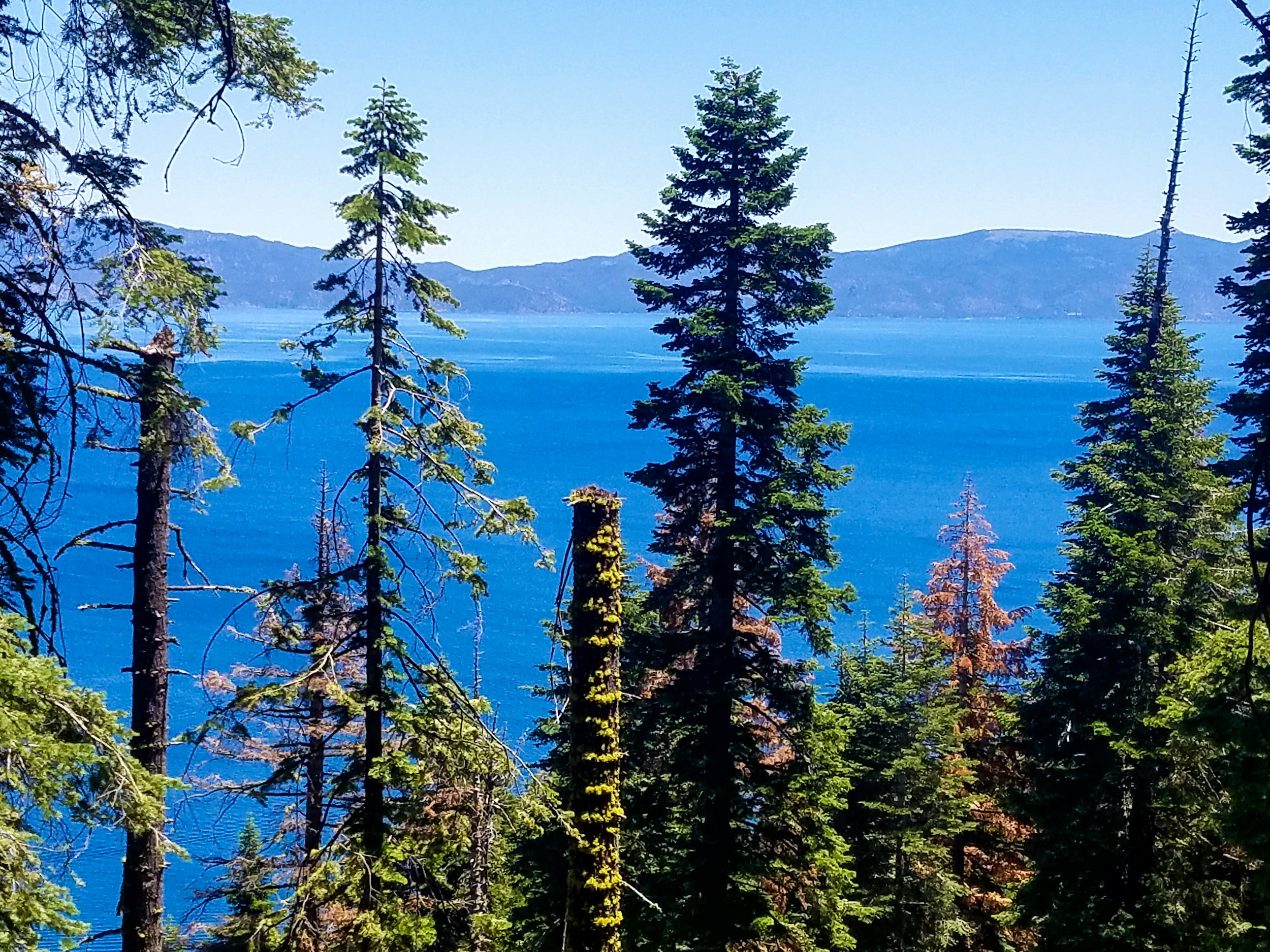 View of Lake Tahoe along the trail
