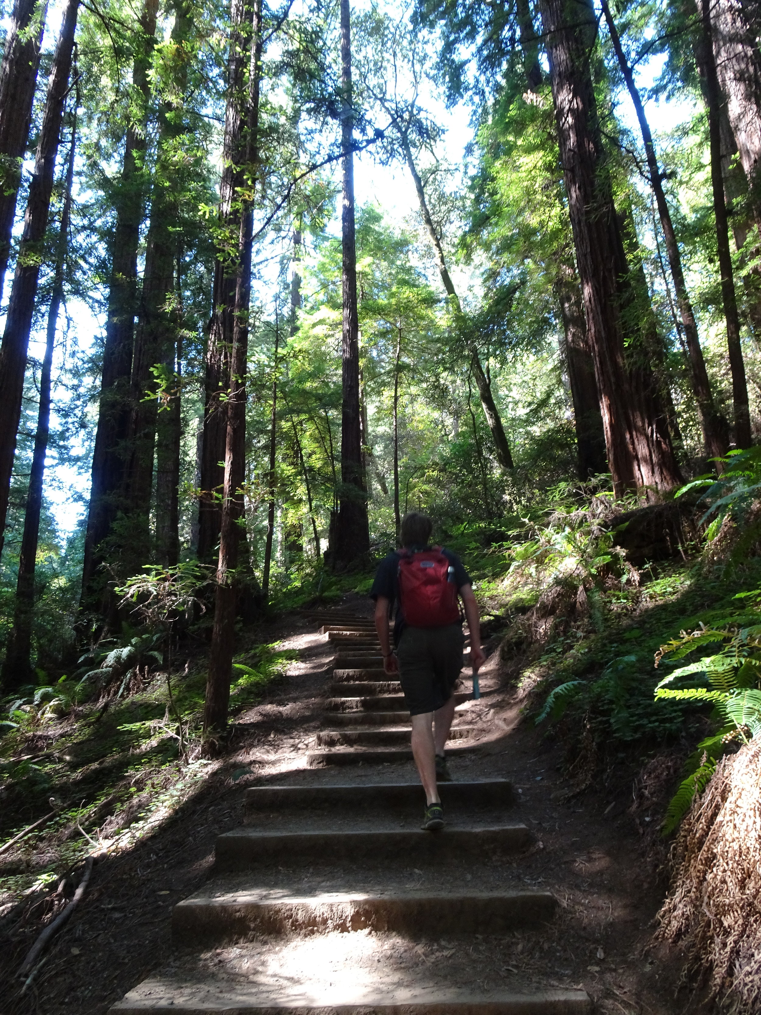 Heading up the Canopy Trail