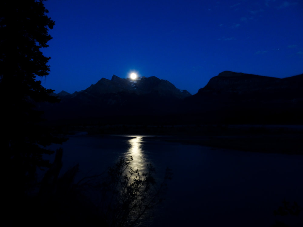 WilcoxPass_JasperNationalPark (1 of 37).jpg