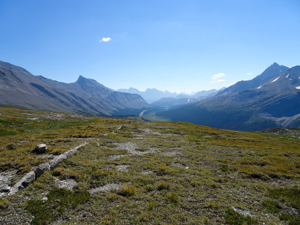 View of the Icefields Parkway from Wilcox Pass