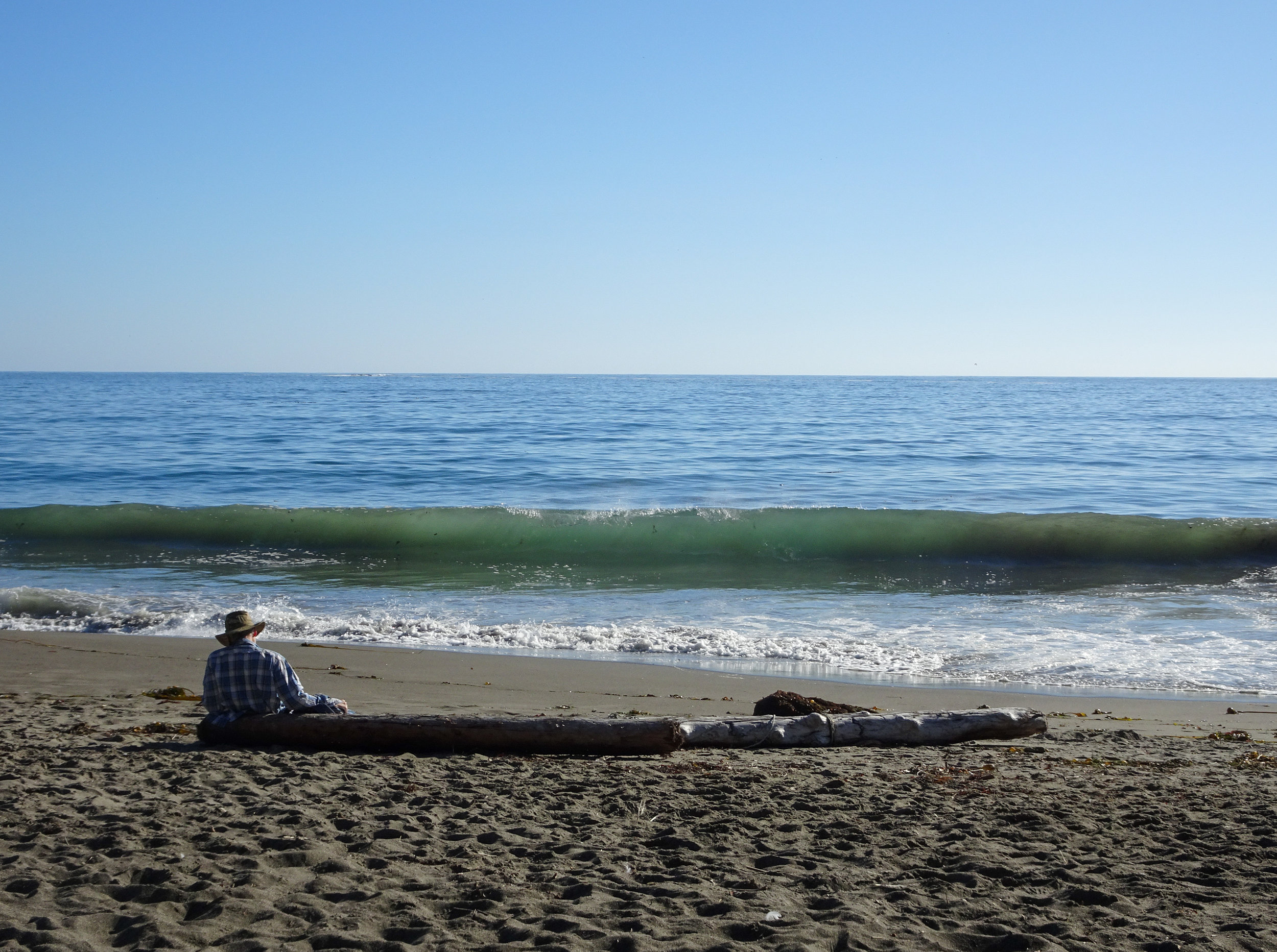 Pacific Coast Highway Points of Interest: Washington State — Adventures ...