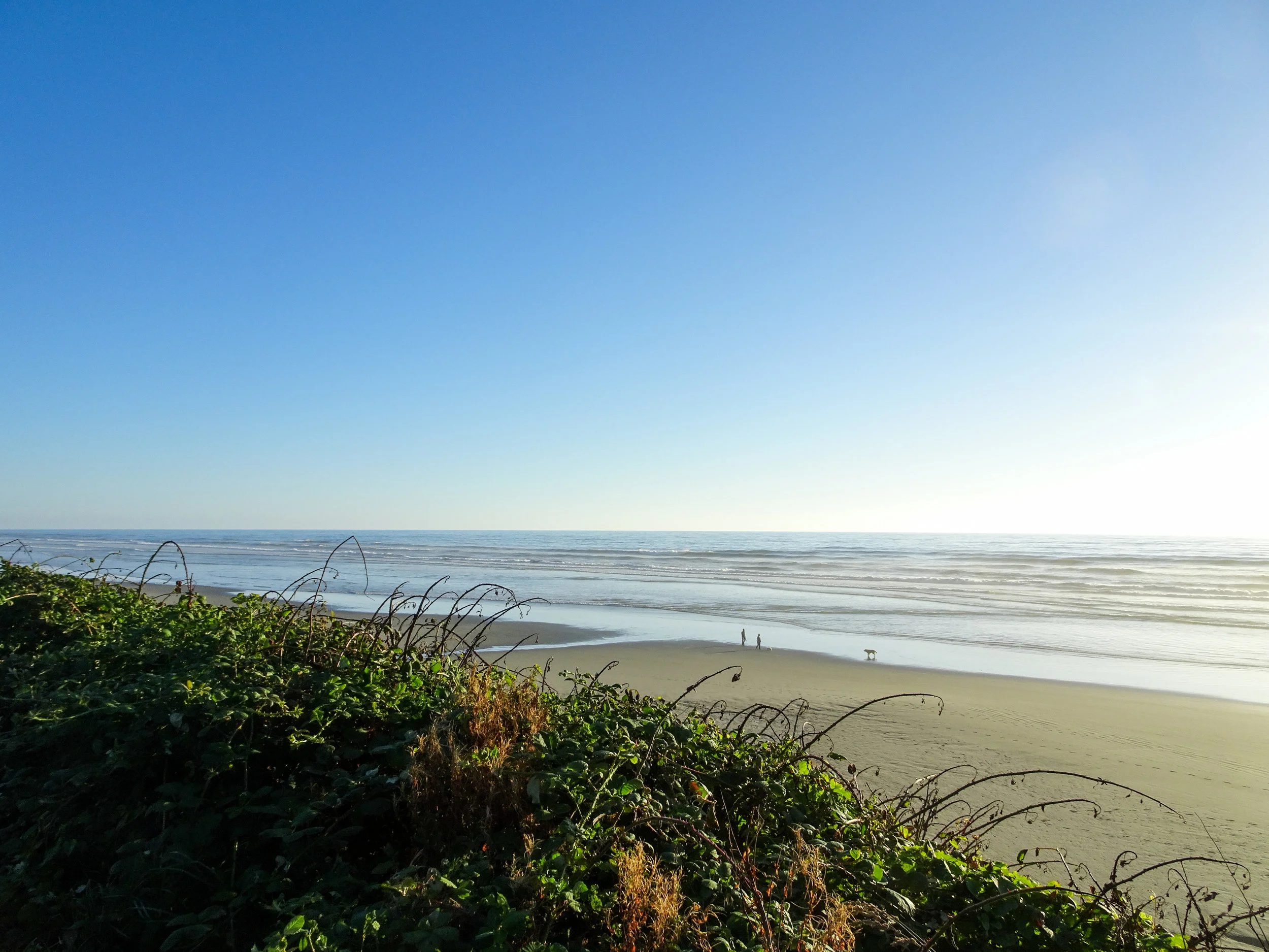 Pacific Coast Highway Points of Interest: Washington State — Adventures ...
