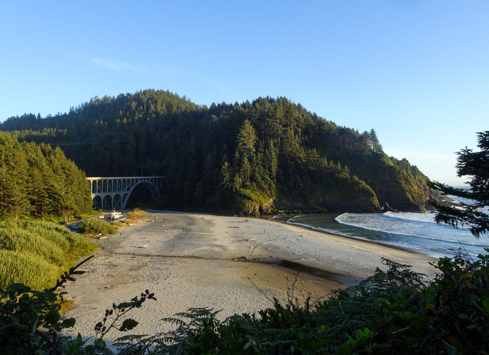 Hiking up the Heceta Head Trail