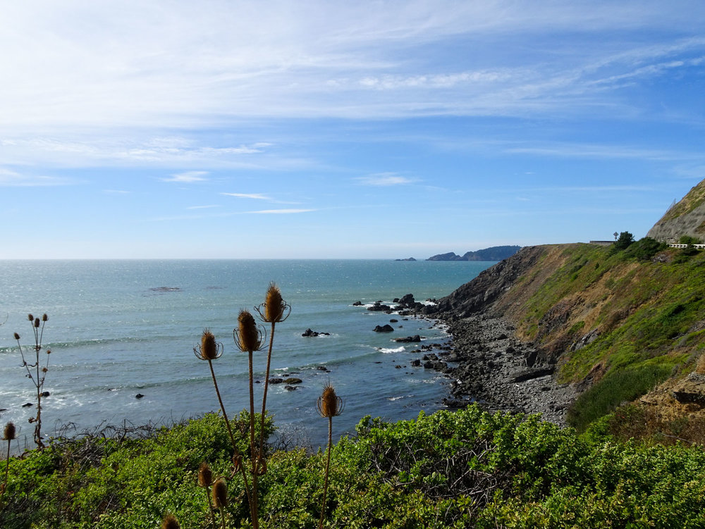 Coastal Views along the PCH