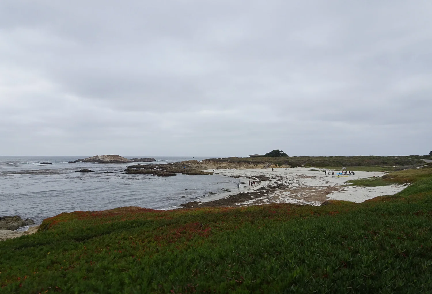 17-Mile-Drive-California.jpg