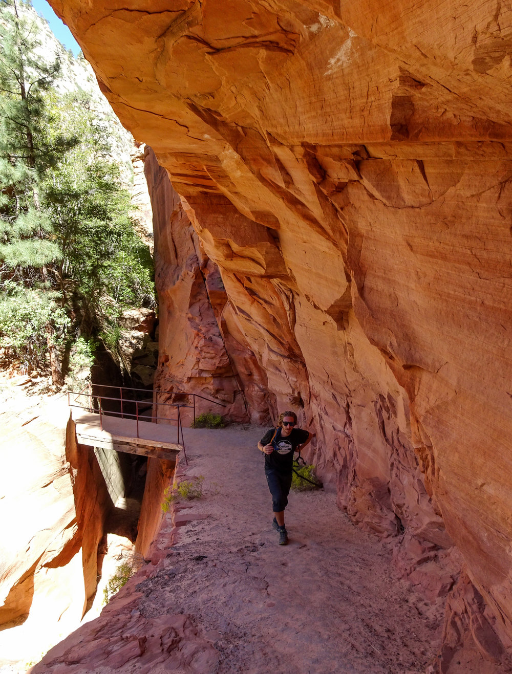 ZionNP (19 of 105).jpg